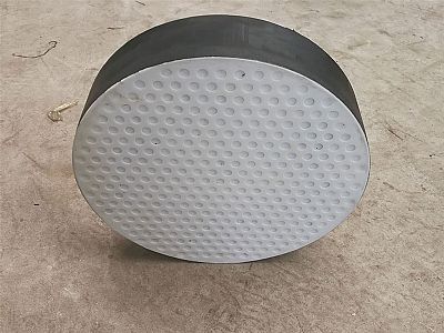 斗门区四氟板式橡胶支座易于更换缓冲隔震